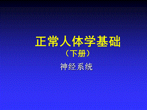 第13章神经系统1.ppt