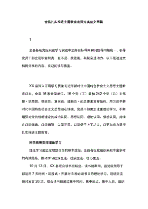 全县扎实推进主题教育走深走实范文两篇.docx