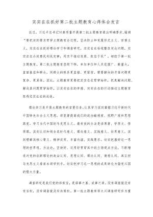 实实在在抓好第二批主题教育心得体会发言.docx