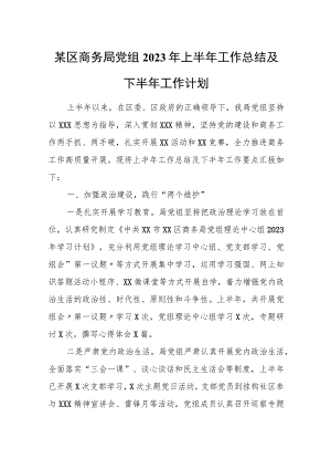 某区商务局党组2023年上半年工作总结及下半年工作计划.docx