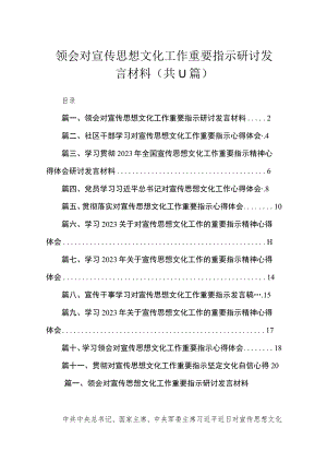 领会对宣传思想文化工作重要指示研讨发言材料【11篇】.docx