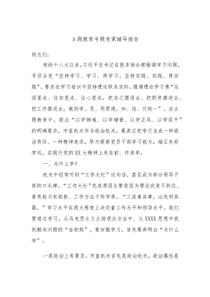 主题教育专题党课辅导报告 (4).docx