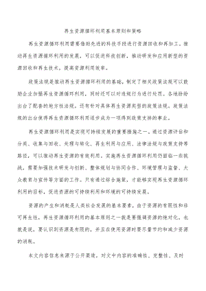 再生资源循环利用基本原则和策略.docx