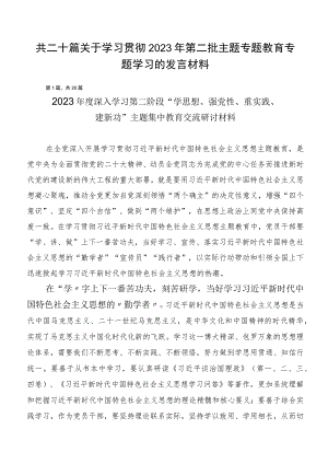 共二十篇关于学习贯彻2023年第二批主题专题教育专题学习的发言材料.docx