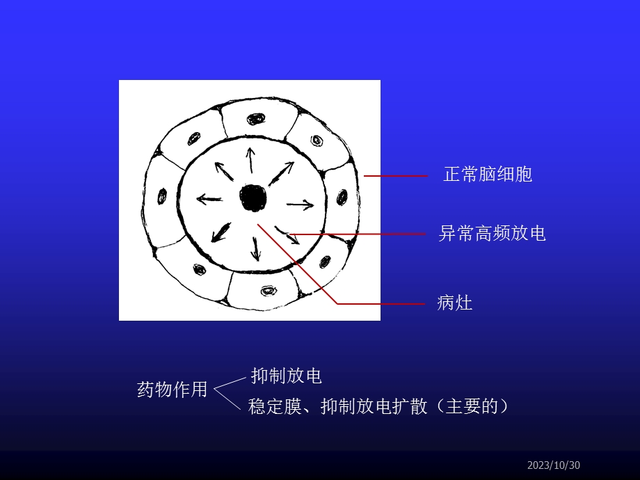 第13章抗癫痫药和抗惊厥药.ppt_第3页