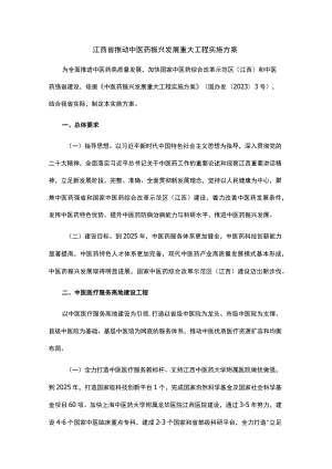 江西省推动中医药振兴发展重大工程实施方案.docx