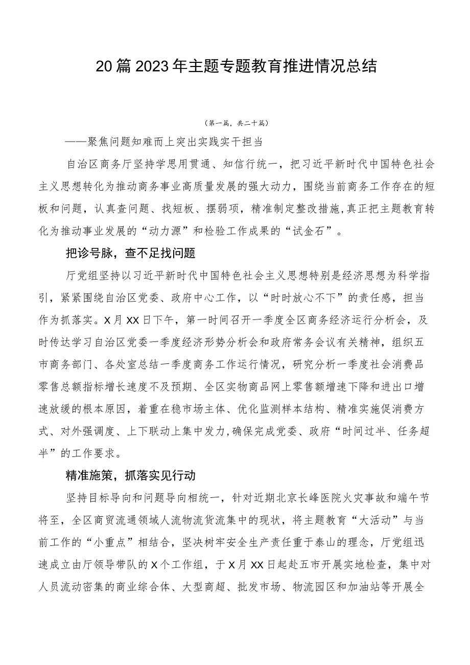 20篇2023年主题专题教育推进情况总结.docx_第1页