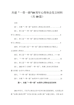 2023共建“一带一路”10周年心得体会发言材料（共10篇）.docx