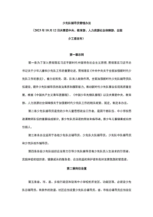 少先队辅导员管理办法-全文及解读.docx