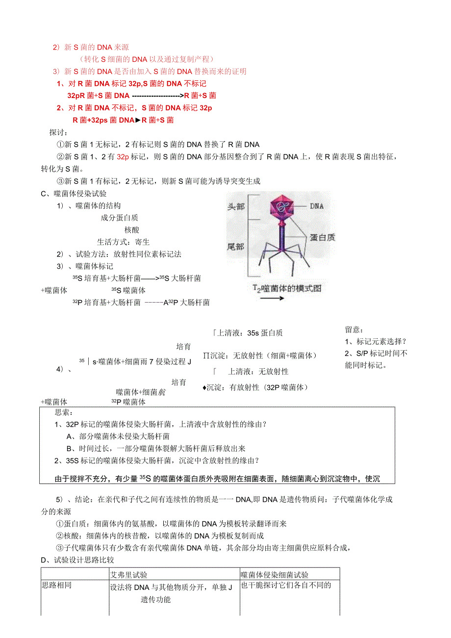 一轮复习 三章 遗传和变异 遗传的物质基础.docx_第2页