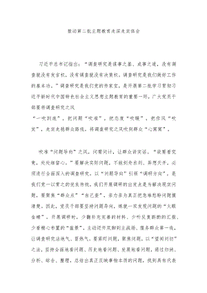 推动第二批主题教育走深走实体会3篇.docx