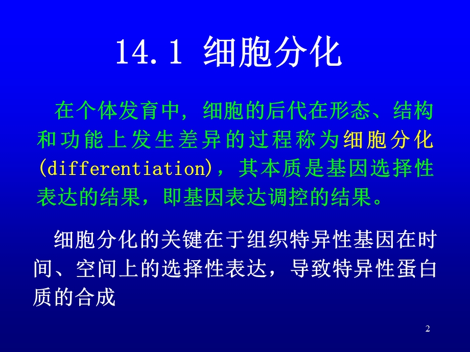 第14章细胞分化与基因表达调控.ppt_第2页