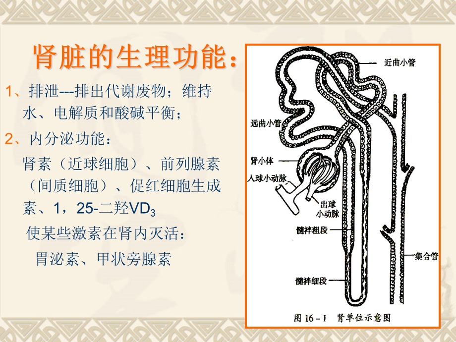 第16章肾功能不全名师编辑PPT课件.ppt_第2页