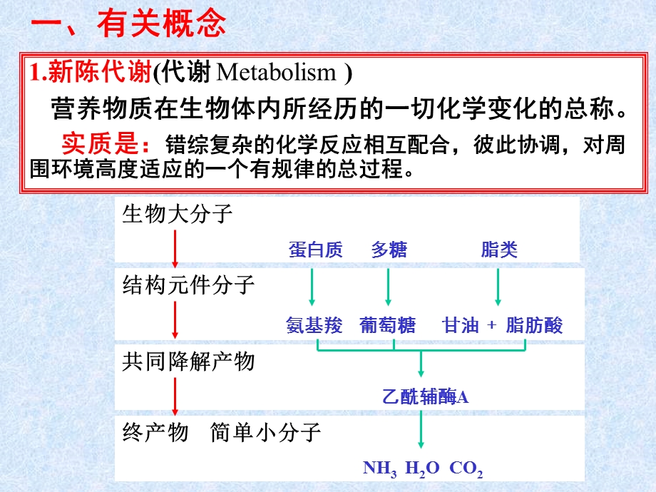 第19章代谢总论名师编辑PPT课件.ppt_第2页