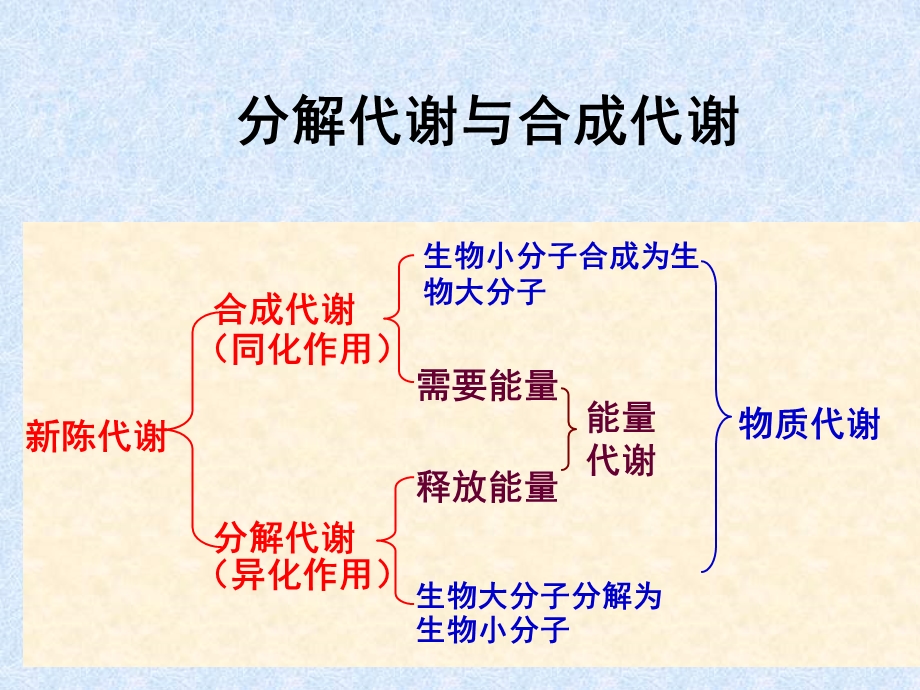 第19章代谢总论名师编辑PPT课件.ppt_第3页