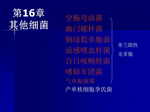 第16章其他细菌名师编辑PPT课件.ppt