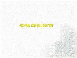 第15章动物源性细菌.ppt