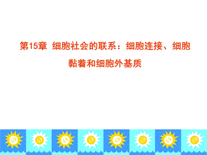 第15章细胞连接细胞黏着和细胞外基质.ppt