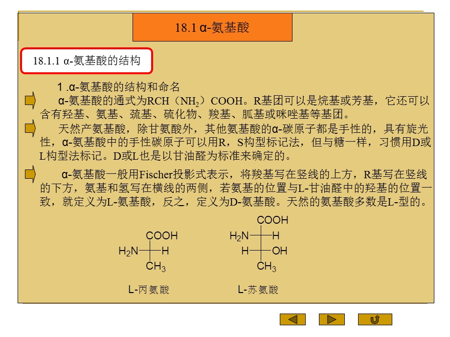 第18章氨基酸多肽蛋白质.ppt_第2页