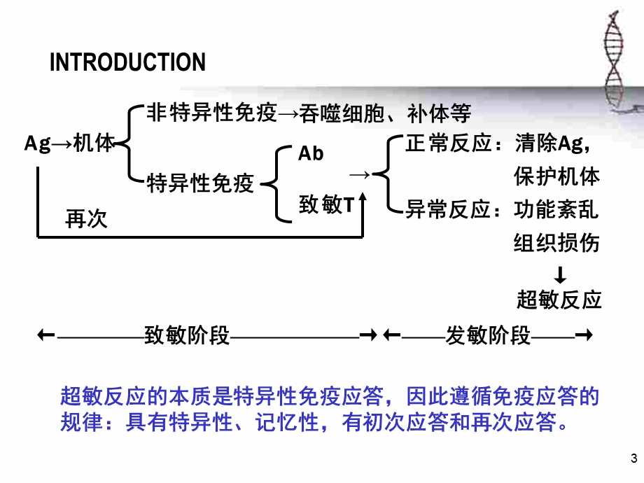 第17章超敏反应.ppt_第3页