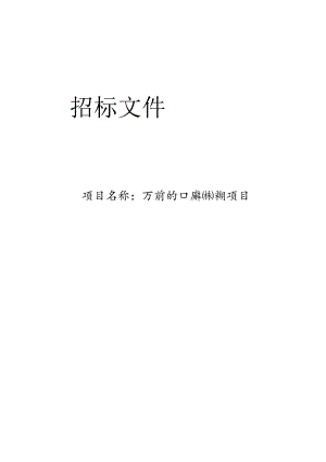 入河排污口排查成果评估项目招标文件.docx