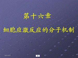 第16章细胞应激反应的.ppt