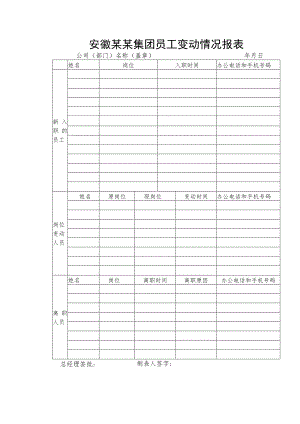 安徽某某集团员工变动情况报表.docx