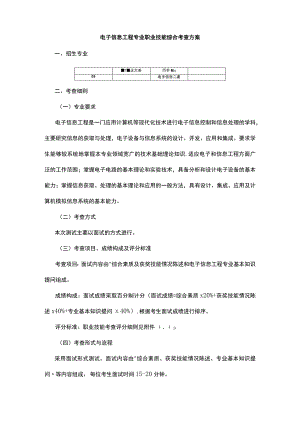 电子信息工程专业职业技能综合考查方案.docx