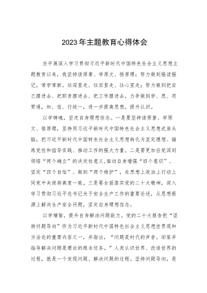 (六篇)2023年国企开展主题教育心得体会研讨发言.docx