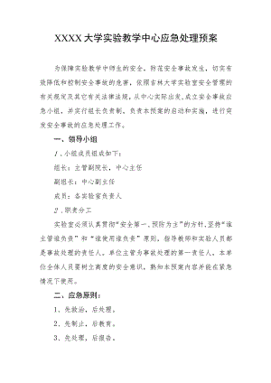 大学实验教学中心应急处理预案.docx