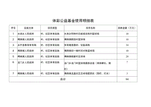 体彩公益基金使用明细表.docx