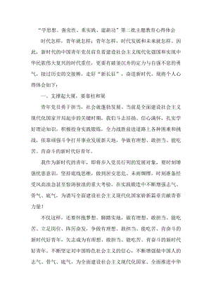 矿山企业党委书记学思想、强党性、重实践、建新功第二批主题教育个人心得体会 （5份）.docx