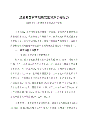 经济复苏有所放缓实现预期仍需发力.docx