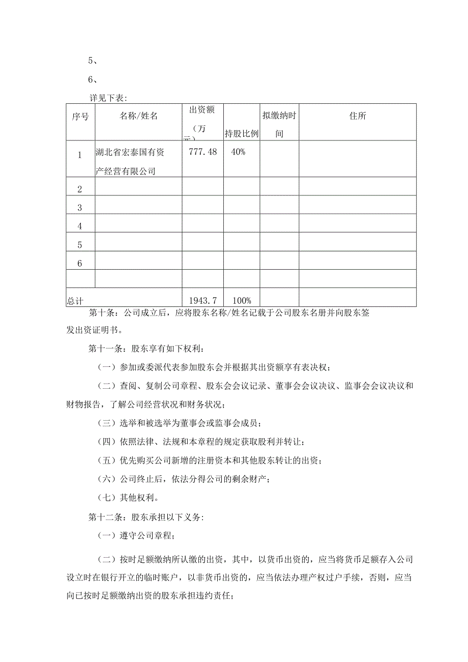 中南国际旅游公司章程.docx_第2页