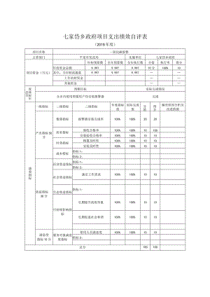 七家岱乡政府项目支出绩效自评表.docx