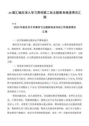 20篇汇编在深入学习贯彻第二批主题教育推进情况汇报.docx