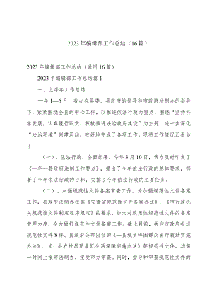 2023年编辑部工作总结（16篇）.docx