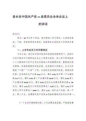 县长在中国共产党xx县委员会全体会议上的讲话.docx