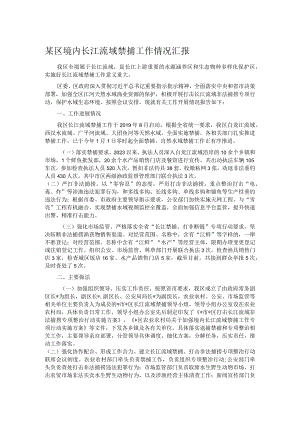 某区境内长江流域禁捕工作情况汇报.docx