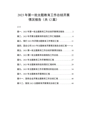 2023年第一批主题教育工作总结开展情况报告（共12篇）.docx