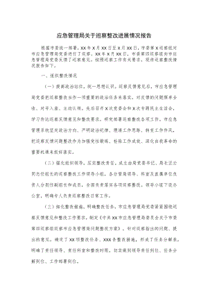 应急管理局关于巡察整改进展情况报告.docx