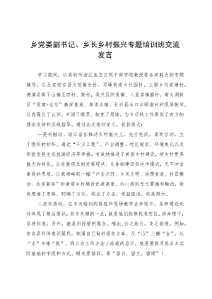 乡党委副书记、乡长乡村振兴专题培训班交流发言 .docx