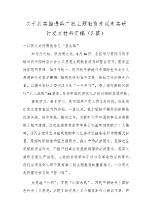 关于扎实推进第二批主题教育走深走实研讨发言材料汇编.docx