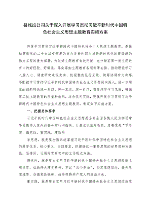 县城投公司学习贯彻主题教育实施方案.docx