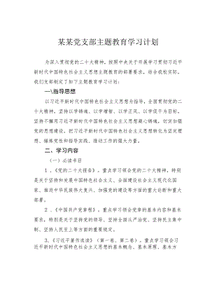 某某党支部主题教育学习计划.docx