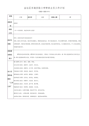 金坛区东城实验小学特班主任工作计划.docx