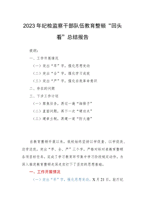 2023年纪检监察干部队伍教育整顿“回头看”总结报告.docx