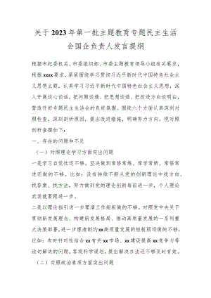 关于2023年第一批主题教育专题民主生活会国企负责人发言提纲.docx