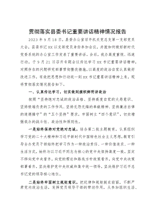 贯彻落实重要讲话精神情况报告.docx