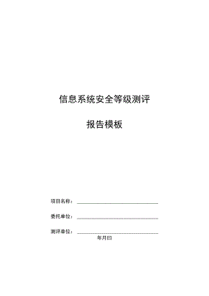 信息系统安全等级测评.docx